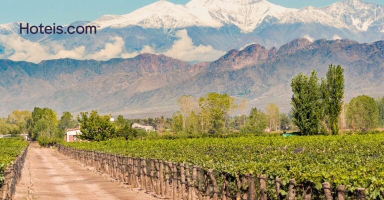 Hotéis em Mendoza: até 37% de desconto mais 6% extra com cupom para reservas antecipadas bllitzbuy 1768382879