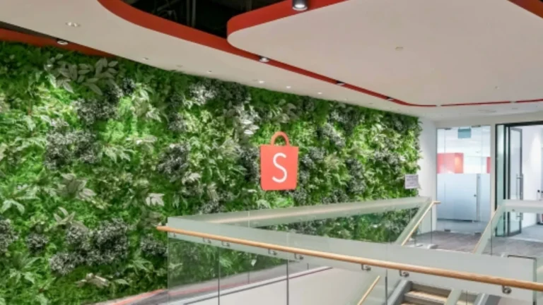 Shopee ganha sinal verde do Banco Central para criar financeira e emitir cartão de crédito cartaoemilhas 1771948996